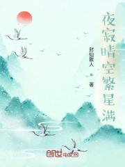 寂寥夜空