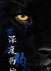 深度豹控的简介