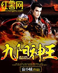 九阳神王 寂小贼