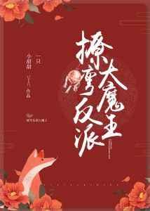 撩弯反派大魔王笔趣阁