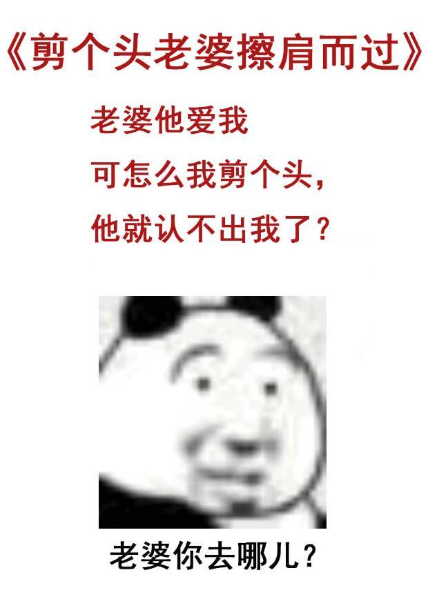 妻子剪头发