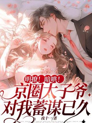 明撩!暗哄!京圈太子爷对我蓄谋已久 书旗