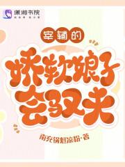 宰辅夫人的荣宠