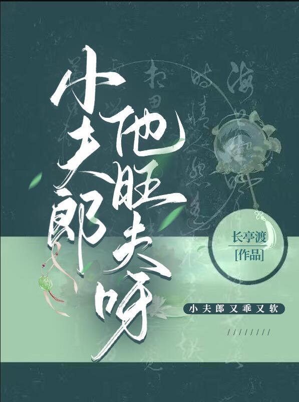 小夫郎他旺夫呀晋江