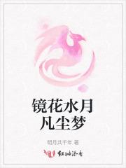 镜花水月宝可梦