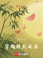 穿越到破坏之王的
