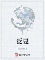 泛夏国际