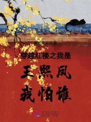 红楼梦穿越王熙凤