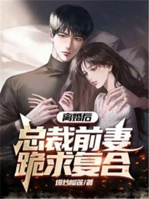 总裁前妻跪求复合作者宁心