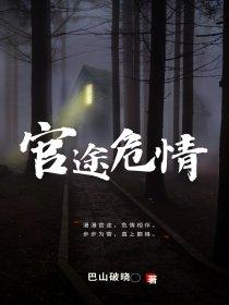 官途情路有几部