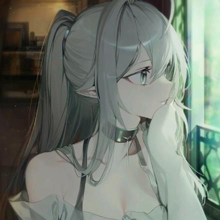 转生异界半精灵