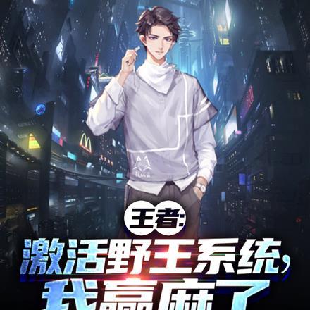 王者荣耀激活系统