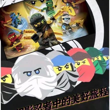 我想问幻影忍者