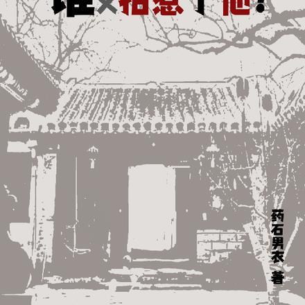 四合院谁惹我