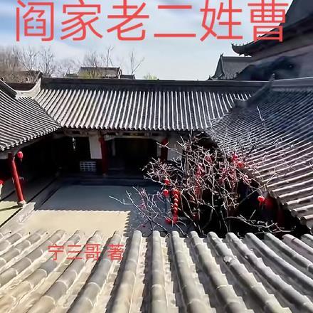 四合院之阎家老二姓曹 宁三哥