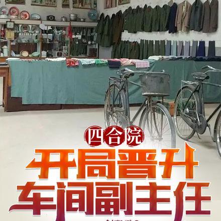 四合院开局成了大领导