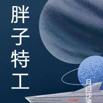 胖子特工队免费完整版