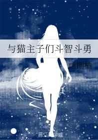 与猫搏斗