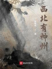西北有神州的含义