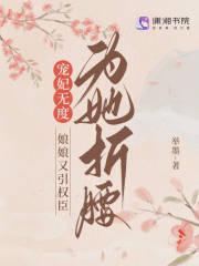 宠妃上瘾娘子本王熟了