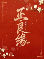 正良缘大结局是什么