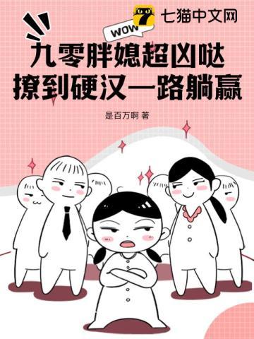 重生九零胖军嫂