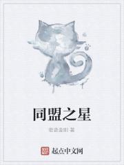 同盟贴吧