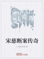 宋慈断案传奇在线观看