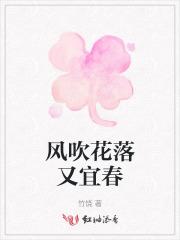 风吹花落知多少