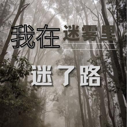 我们在迷雾中行走
