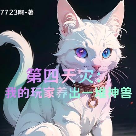 第四天灾玩家流全