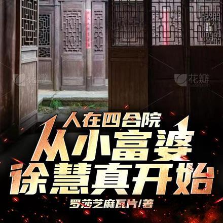 四合院开局成了徐慧真的小叔子