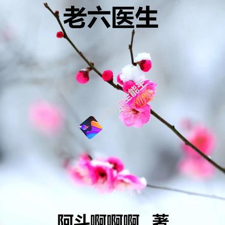四合院大爷