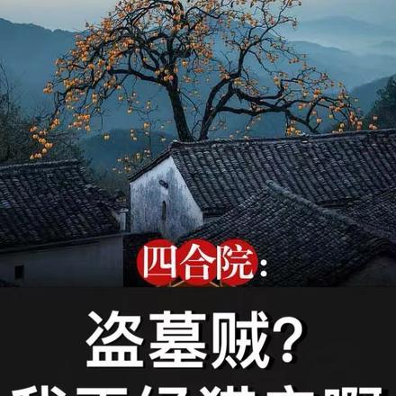 四合院我傻住
