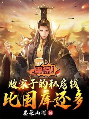 震惊!败家子的私房钱比国库还多TT