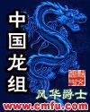 中国龙组全集 完整版