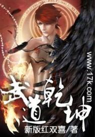 武道乾坤在线阅读