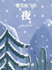 雪花飞舞的夜晚