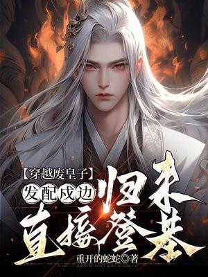 穿越废皇子