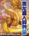 黄龙真人异界游TXT八零