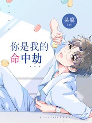 你是我的命中劫此生