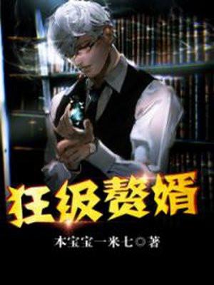 狂婿境界等级设定划分