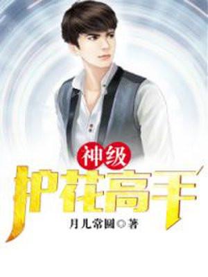 超级护花高手叶辰