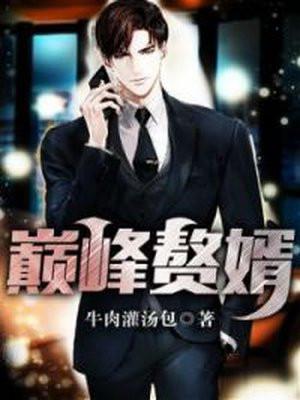 巅峰赘婿林子铭全集