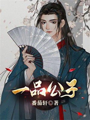 一品公子3d天机诗字谜