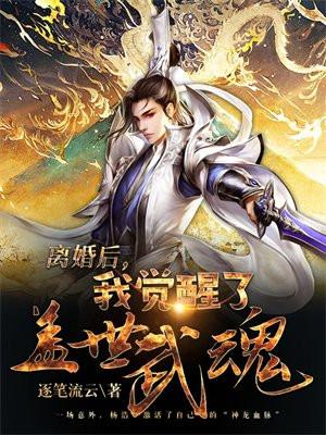 我觉醒了盖世武魂百度百科
