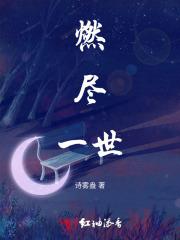 燃尽天下