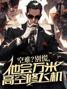 他会万米高空修飞机别名