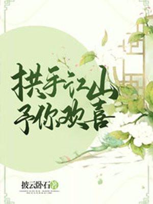 拱手江山予你欢喜免费阅读