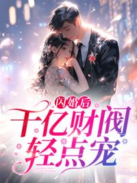 闪婚后老公是千亿财阀电视剧